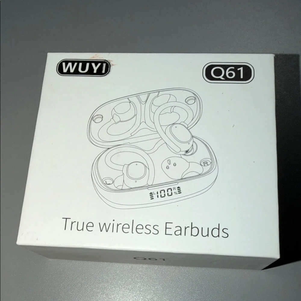 Q61 True Wireless Earbuds with Charging Case